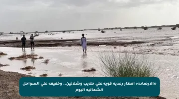 «الأرصاد»: أمطار رعدية قوية على حلايب وشلاتين.. وخفيفة على السواحل الشمالية اليوم